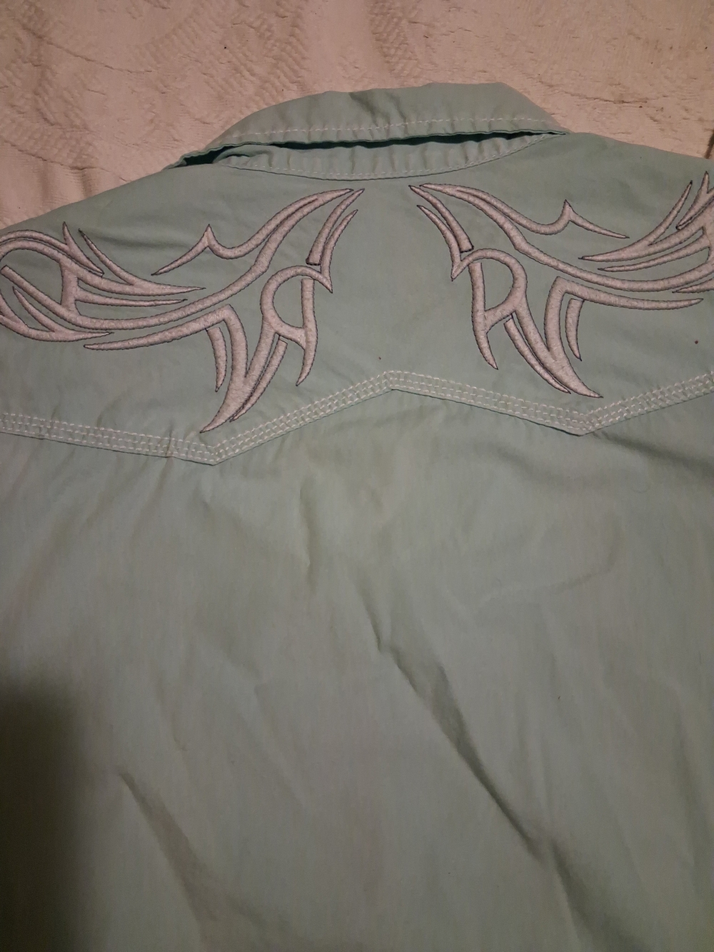 Buckle Light Mint Green Western Shirt with White Embroidery